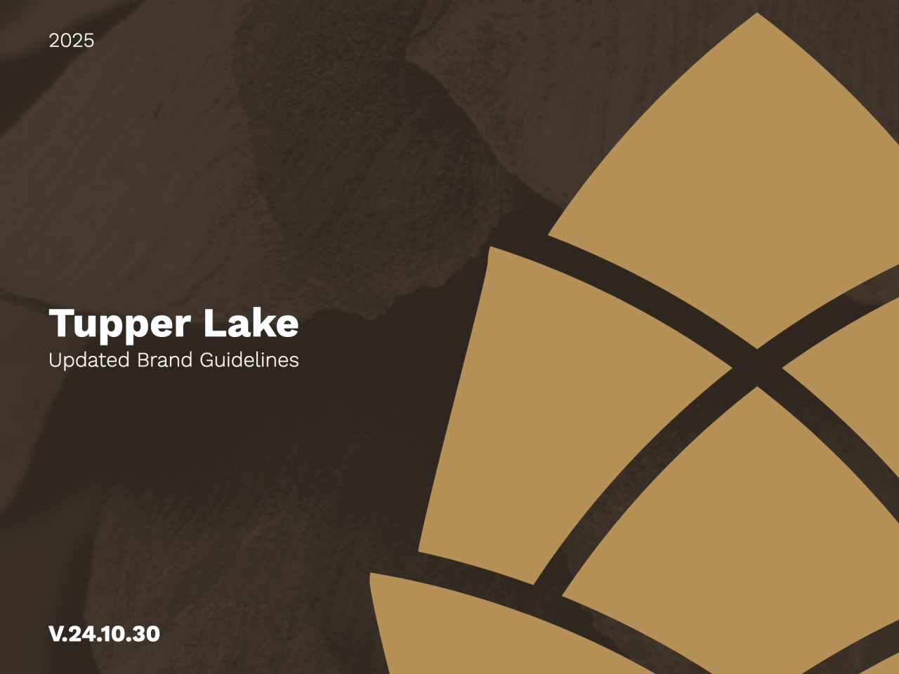 The cover of a booklet with an illustration of a hemlock cone and the words "Tupper Lake Updated Brand Guidelines."